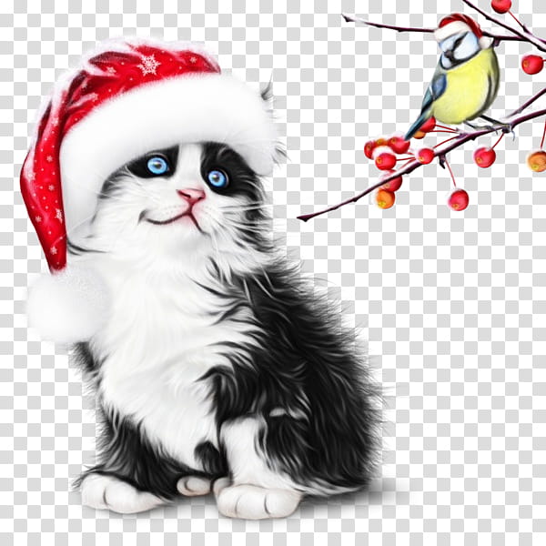 Santa claus, Watercolor, Paint, Wet Ink, Cat, Small To Mediumsized Cats, Whiskers, Christmas transparent background PNG clipart