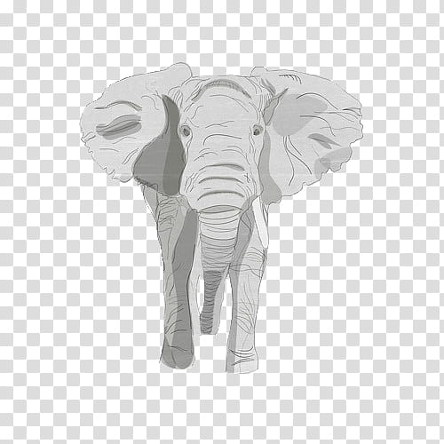 Animal s, gray elephant illustration transparent background PNG clipart