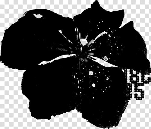 Brushset  abstract flowers, black petaled flower transparent background PNG clipart