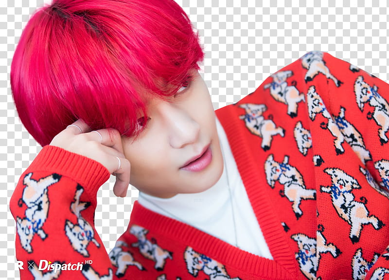 BTS XMAS DISPATCH  transparent background PNG clipart