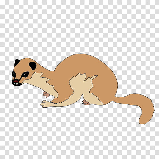 Cat And Dog, Whiskers, Lion, Meerkat, Drawing, Wolf, Earless Seal, Macropods transparent background PNG clipart