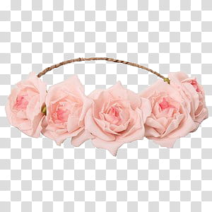 Flower Crowns, four pink rose flower head band transparent background PNG clipart