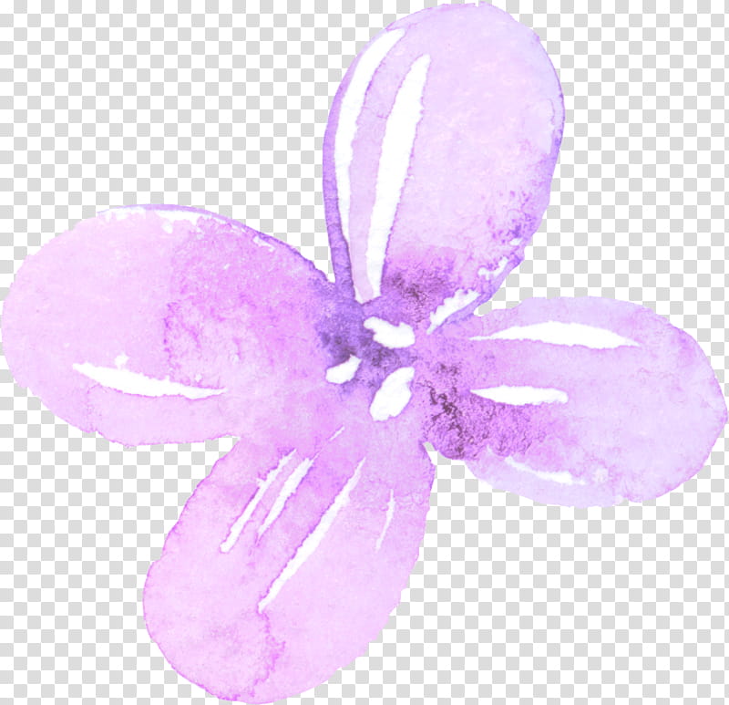 Purple Watercolor Flower, Petal, Lilac, Watercolor Painting, White, Violet, Pink, Magenta transparent background PNG clipart