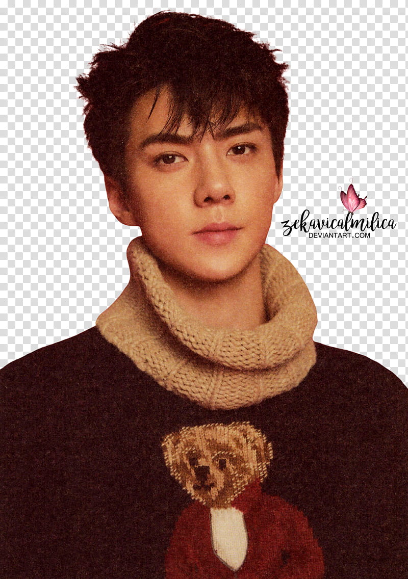 EXO Sehun  Season Greetings, man wearing gray and black knit top transparent background PNG clipart