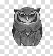 Vintage Owl z,  icon transparent background PNG clipart