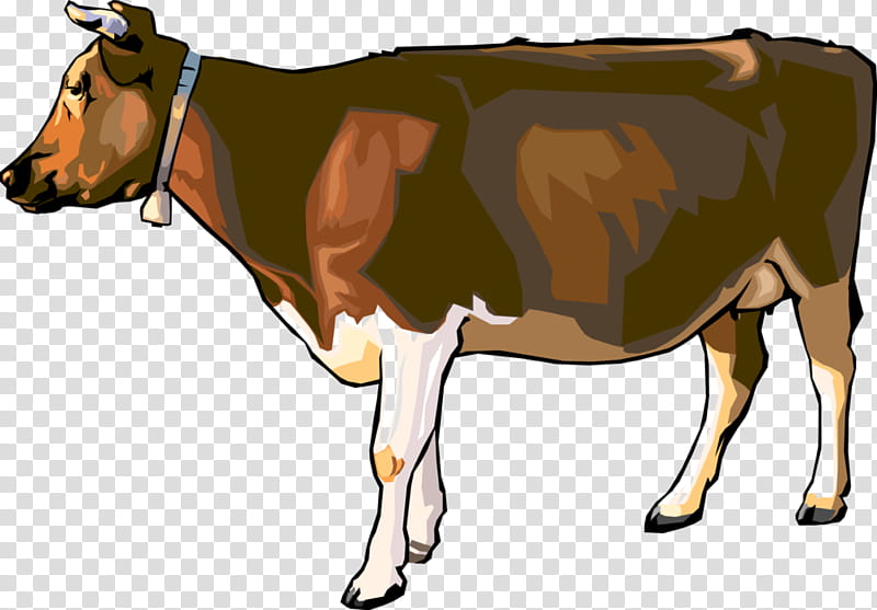 brown swiss cow clip art