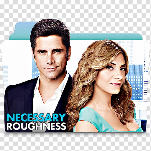 TV Series Icon Pack , [US] Necessary Roughness ( ) transparent background PNG clipart