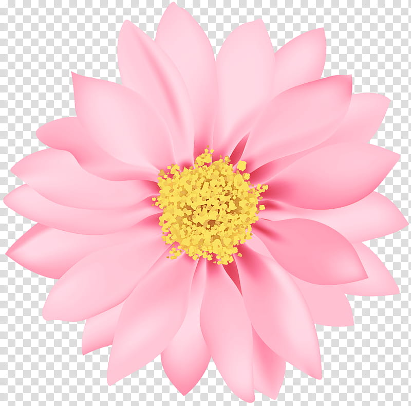 Artificial flower, Petal, Pink, Plant, Gerbera, Barberton Daisy, Daisy Family, Cut Flowers transparent background PNG clipart