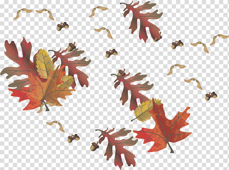 Flower Line Art, Leaf, Petal, Maple Leaf, Textile Design, Plant, Tree, Black Maple transparent background PNG clipart