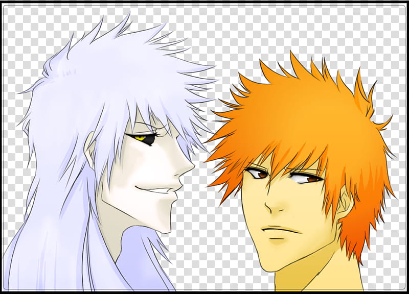 Shiro and Ichigo transparent background PNG clipart