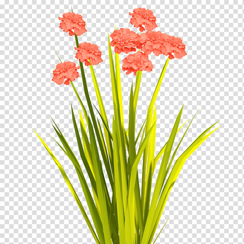 Artificial flower, Flowering Plant, Cut Flowers, Grass, Plant Stem, Flowerpot, Gladiolus, Petal transparent background PNG clipart