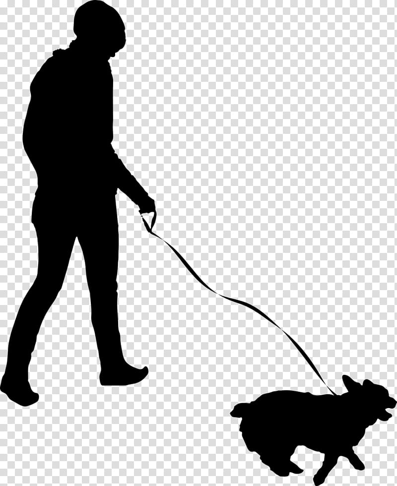 Dog And Cat, Pug, Dachshund, Dog Walking, Pet, Animal Rescue Group, Leash, Pet Sitting transparent background PNG clipart