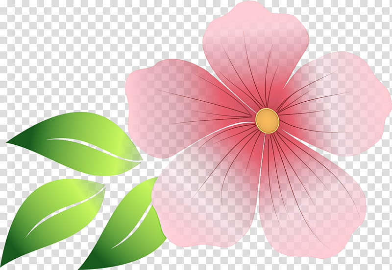 petal pink flower plant leaf, Impatiens transparent background PNG clipart