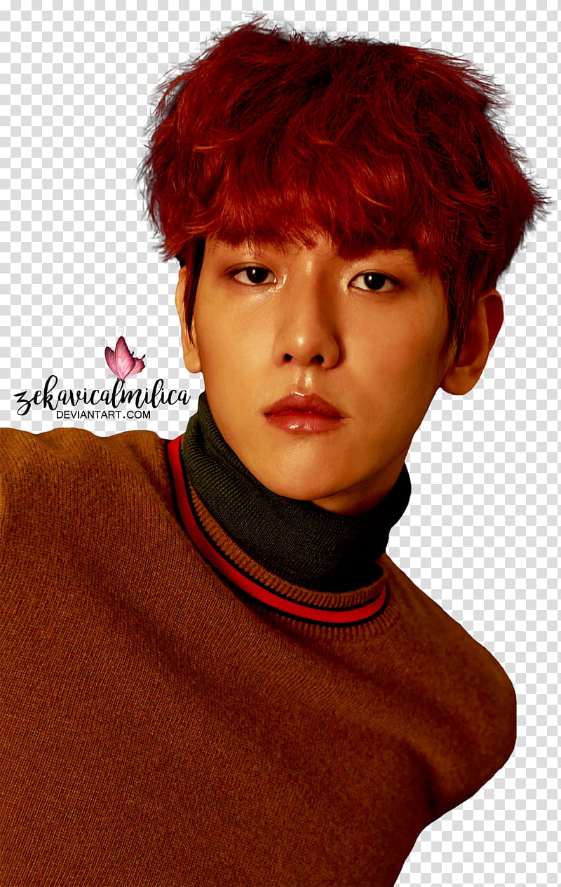 EXO Baekhyun For Life, man wearing brown and black turtleneck top transparent background PNG clipart
