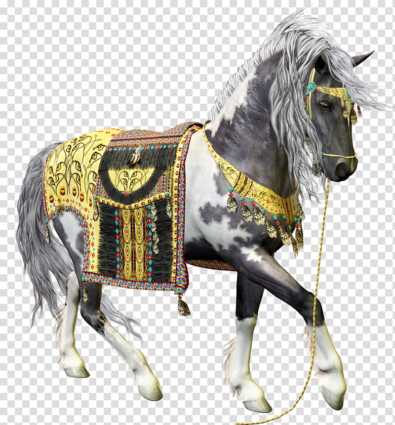 Horse, book, Stallion, Halter, Albums, Horse Harnesses, Rein, Saddle transparent background PNG clipart