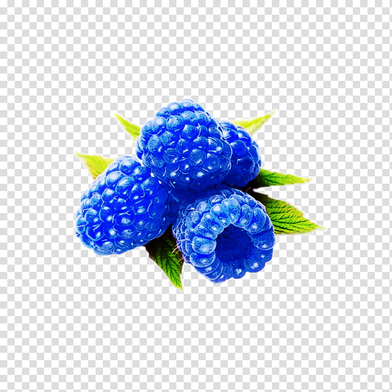 blue berry cobalt blue plant fruit, Electric Blue, Flower, Blackberry, Blueberry, Anemone transparent background PNG clipart