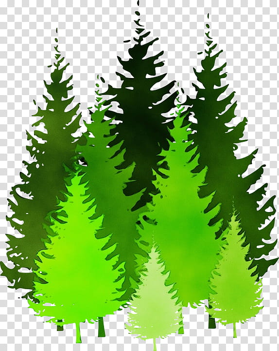 Watercolor Christmas Tree, Paint, Wet Ink, Pine, Fir, Silhouette, Red Maple, Cedar transparent background PNG clipart
