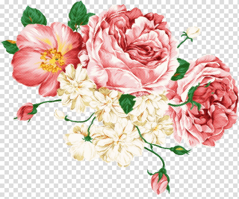 Garden roses, Flower, Cut Flowers, Pink, Plant, Petal, Rose Family, Common Peony transparent background PNG clipart