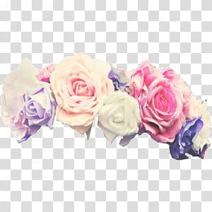 Flower Crowns S, white and pink rose flowers transparent background PNG clipart