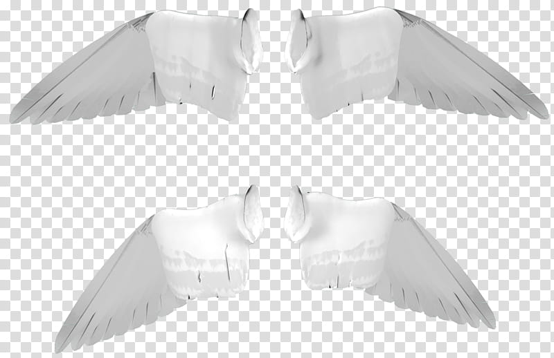 Wings Angel , two pairs of white feathers transparent background PNG clipart