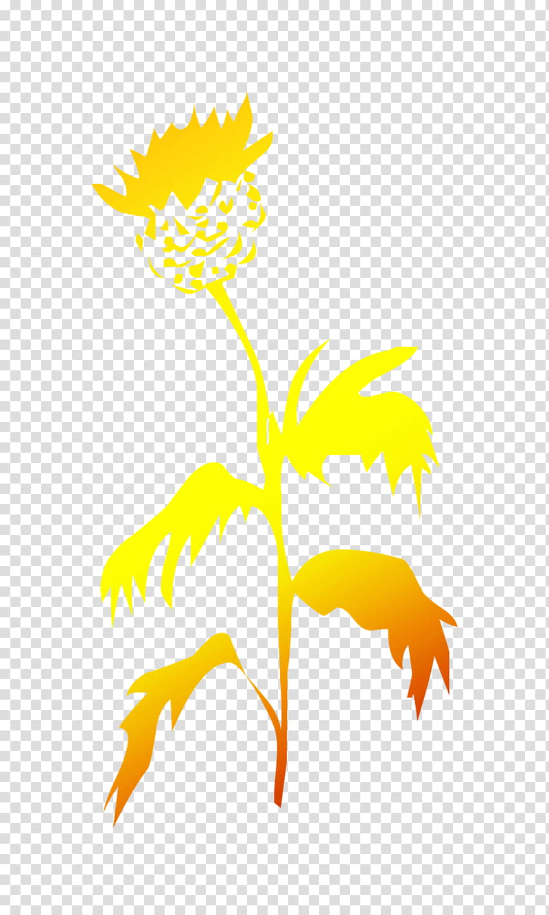 Black And White Flower, Drawing, Leaf, Television, Plant Stem, Estamp, Tree, Plants transparent background PNG clipart