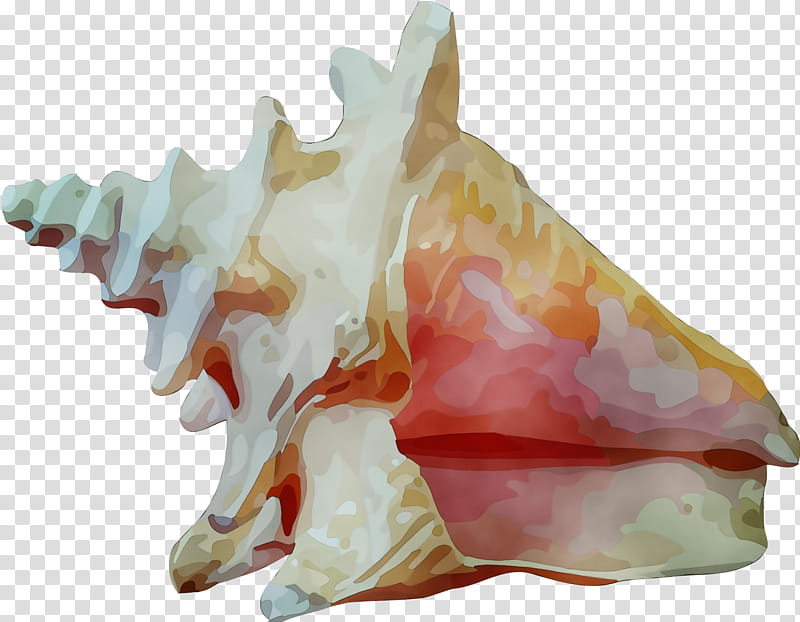 conch conch shankha figurine animal figure, Watercolor, Paint, Wet Ink, Jaw, Triceratops, Wind Instrument, Musical Instrument transparent background PNG clipart
