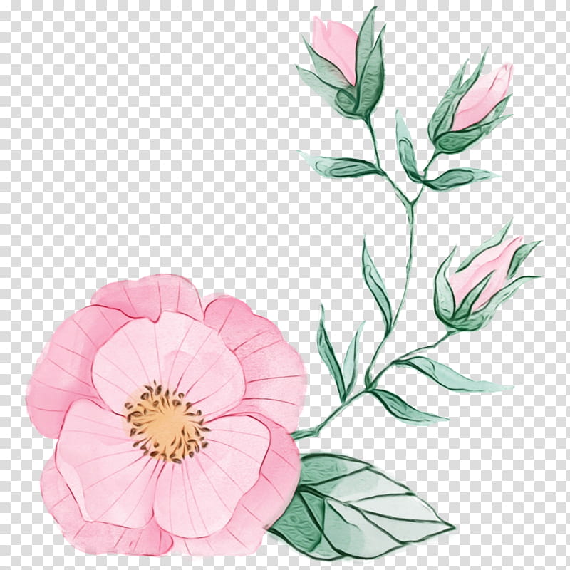 flower plant petal pink prickly rose, Watercolor Pink Flower, Wedding Flower, Floral, Paint, Wet Ink, Watercolor Paint, Rosa Rubiginosa transparent background PNG clipart