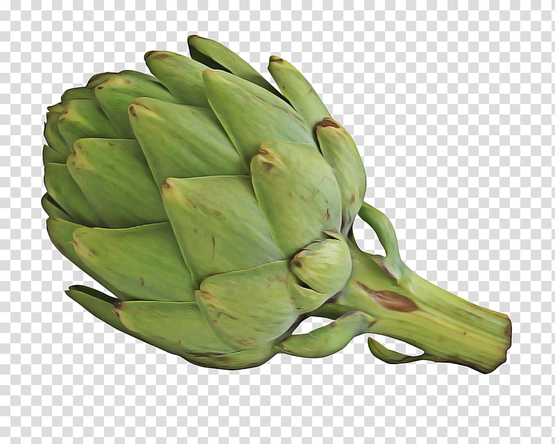 Vegetable, Artichoke, Jerusalem Artichoke, Vegetarian Cuisine, Food, Asparagus, Kohlrabi, Bud transparent background PNG clipart