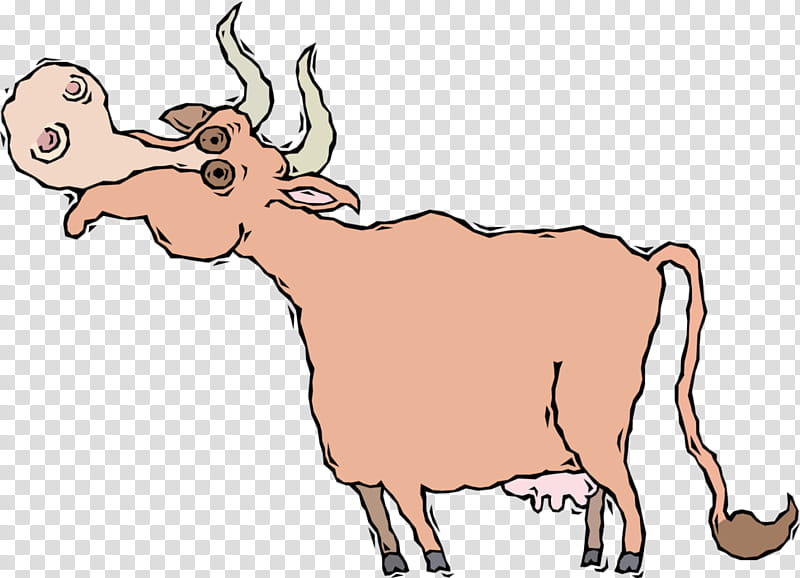 Animal, Cattle, Horn, Ox, Deer, Goat, Antelope, Caprinae transparent background PNG clipart