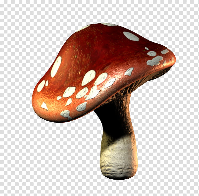 E S Gosha, brown mushroom illustration transparent background PNG clipart