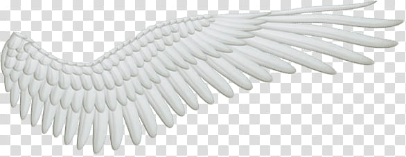 Recursos Alas De Angel , white wing illustration transparent background PNG clipart