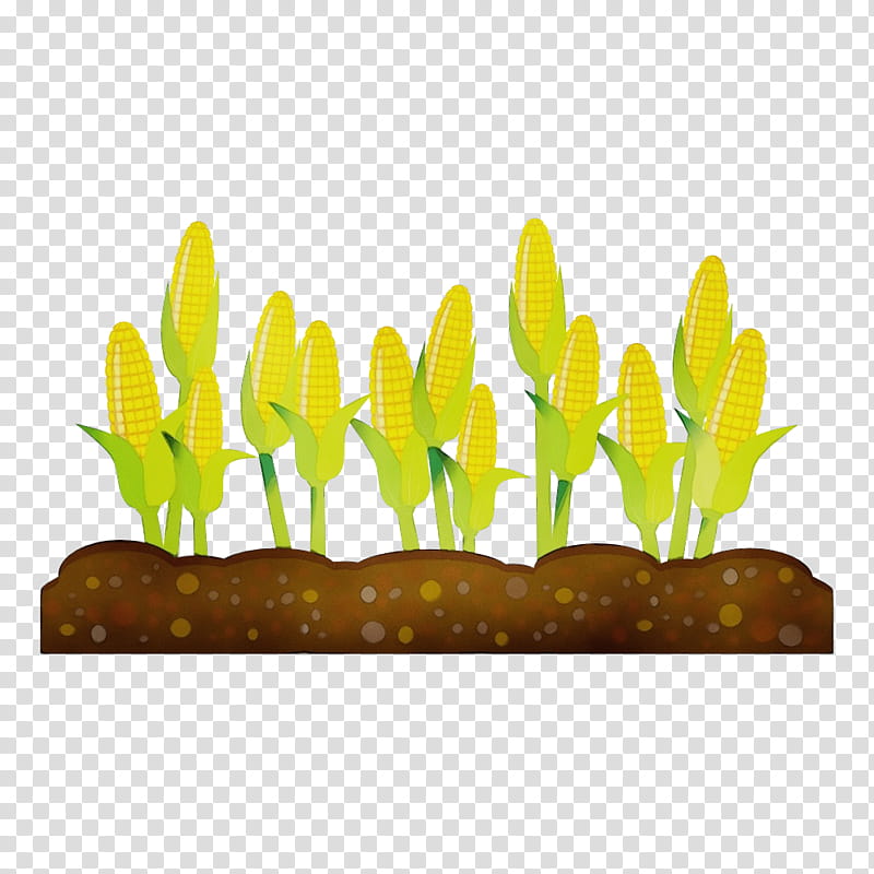 aquarium decor yellow plant flower grass, Watercolor, Paint, Wet Ink, Plant Stem transparent background PNG clipart