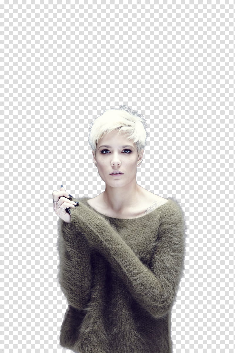 Halsey transparent background PNG clipart