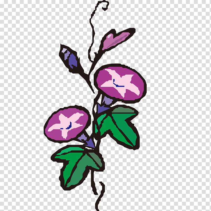 Violet Flower, Japanese Morning Glory, Butterfly, Plant Stem, Leaf, Branch, Pedicel transparent background PNG clipart