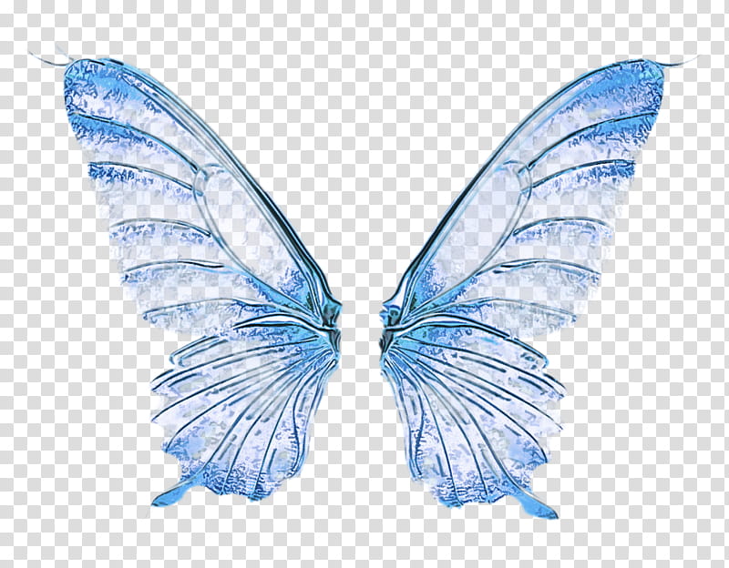 Feather, Butterfly, Wing, Insect, Moths And Butterflies, Pollinator, Fictional Character, Lycaenid transparent background PNG clipart