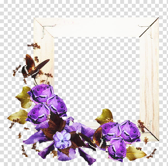 Flowers, Violet, Purple, BORDERS AND FRAMES, Cut Flowers, Floral Design, Lavender, Frames transparent background PNG clipart