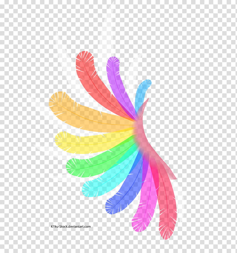Rainbow and White Wing, white, red, purple, orange, green, and blue feather illustration transparent background PNG clipart