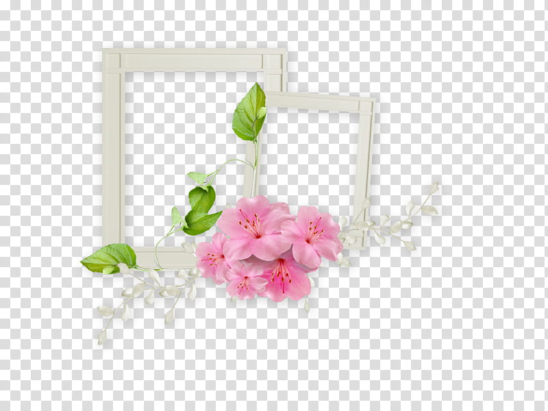 Frame transparent background PNG clipart