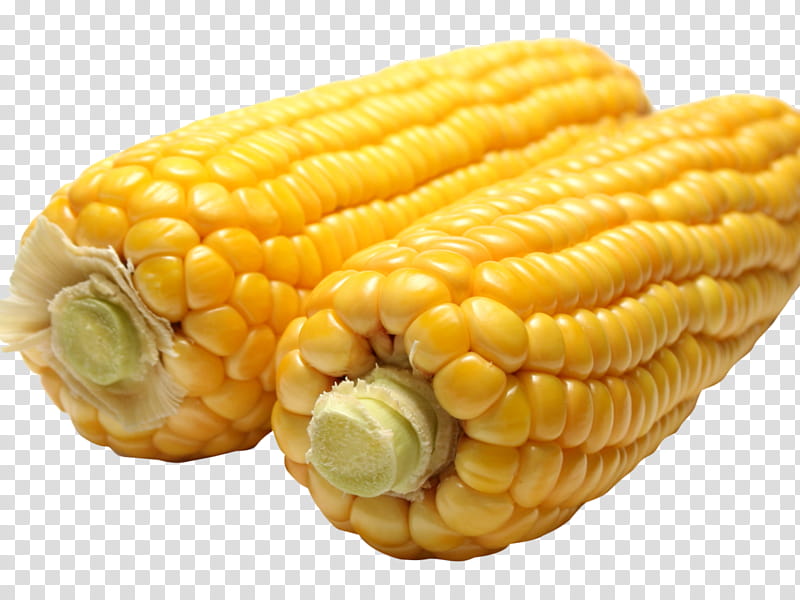 Popcorn, Corn On The Cob, Esquites, Sweet Corn, Corn Kernel, Waxy Corn, Dent Corn, Flour Corn transparent background PNG clipart
