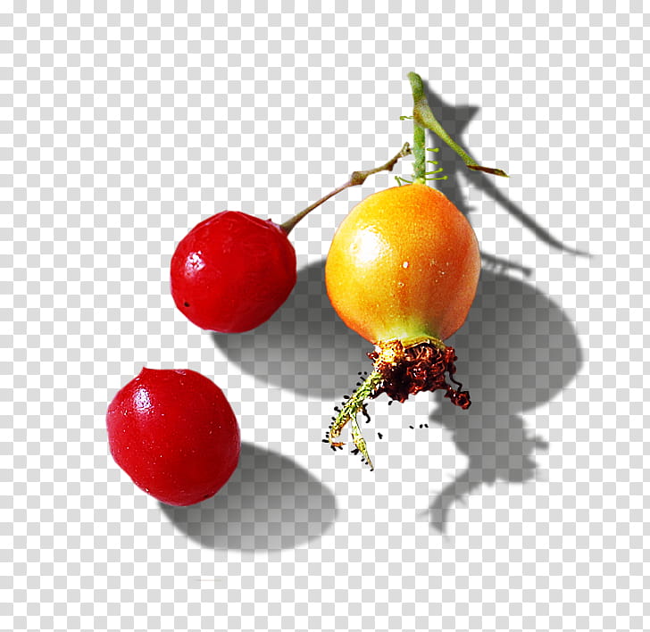 Tomato, Fruit, Clausena Lansium, Shadow, Common Fig, Food, Still Life , Red transparent background PNG clipart