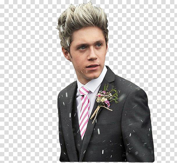Niall Horan  transparent background PNG clipart