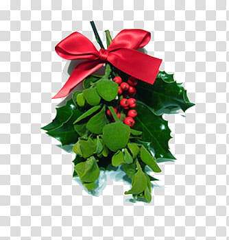 Christmas, green mistletoe transparent background PNG clipart