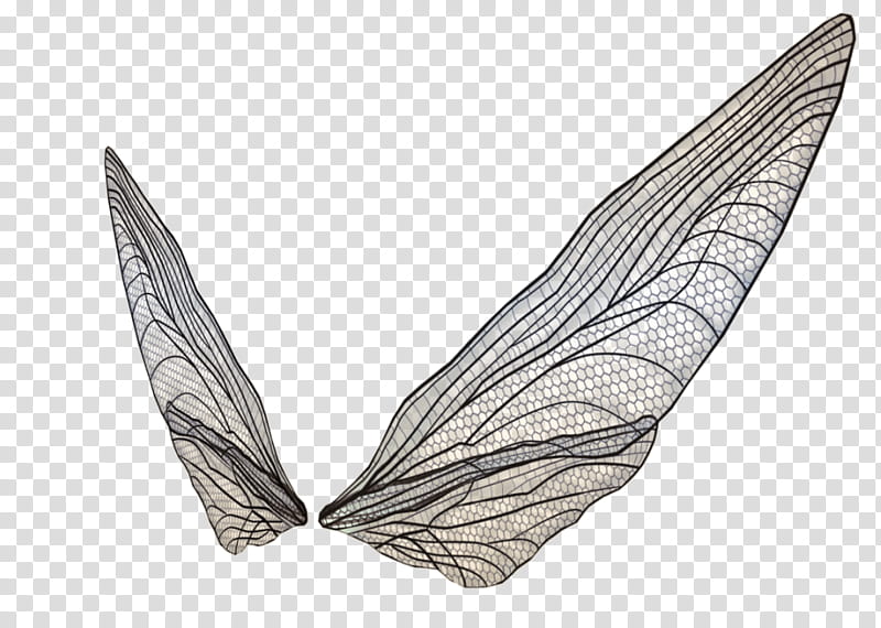 D object wings, black wings art transparent background PNG clipart