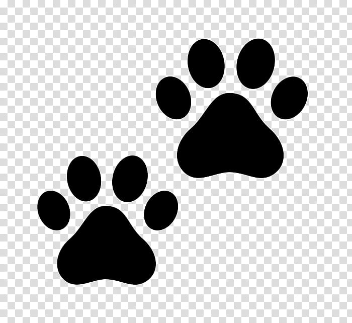 Dog And Cat, Paw, Kitten, Printing, Bear, White Cat, Snout, Nose transparent background PNG clipart