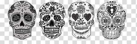 four assorted-design skull illustration transparent background PNG clipart