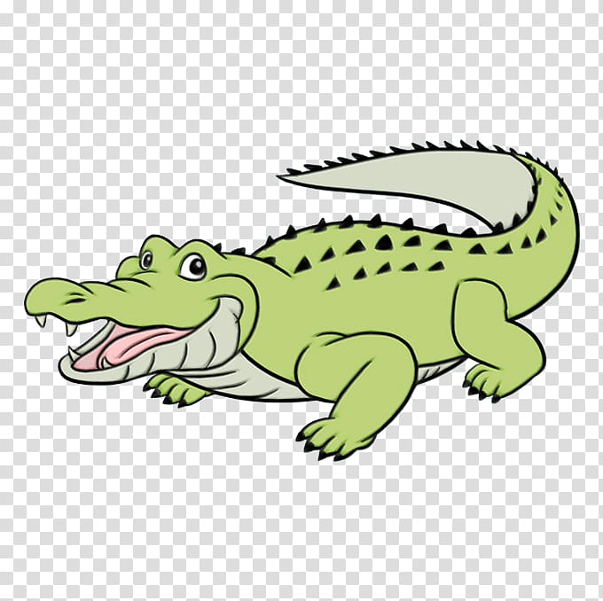 Cartoon Crocodile Drawing - How To Draw A Cartoon Crocodile Step By Step