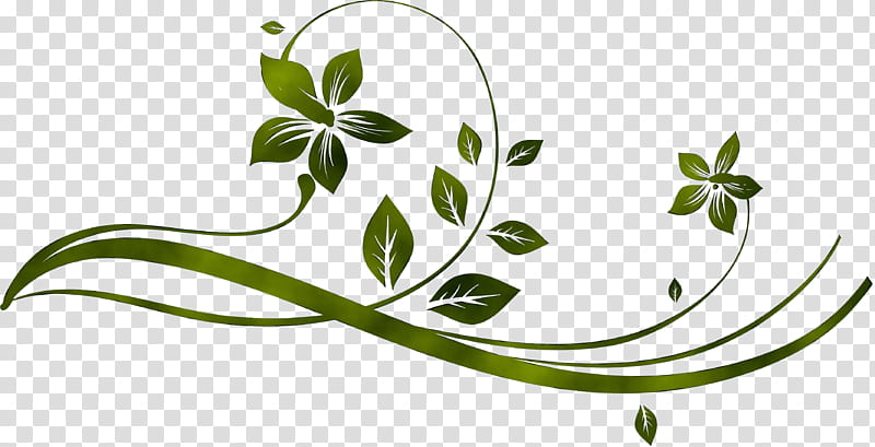 Flower Line Art, Plant Stem, Leaf, Branching, Plants, Herbal, Galium transparent background PNG clipart