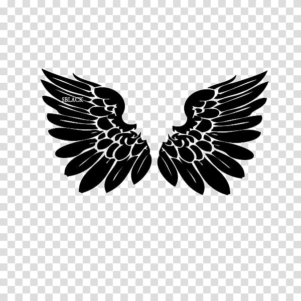 Materials, black wings transparent background PNG clipart