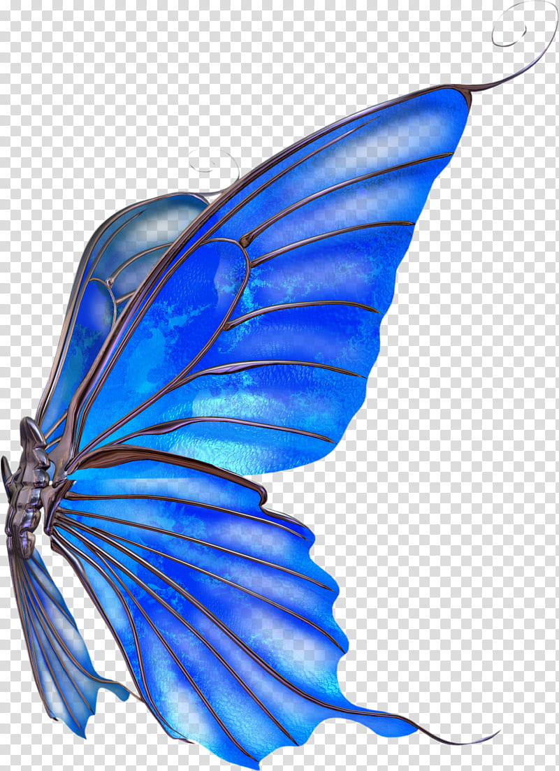 blue and gray butterfly ar transparent background PNG clipart