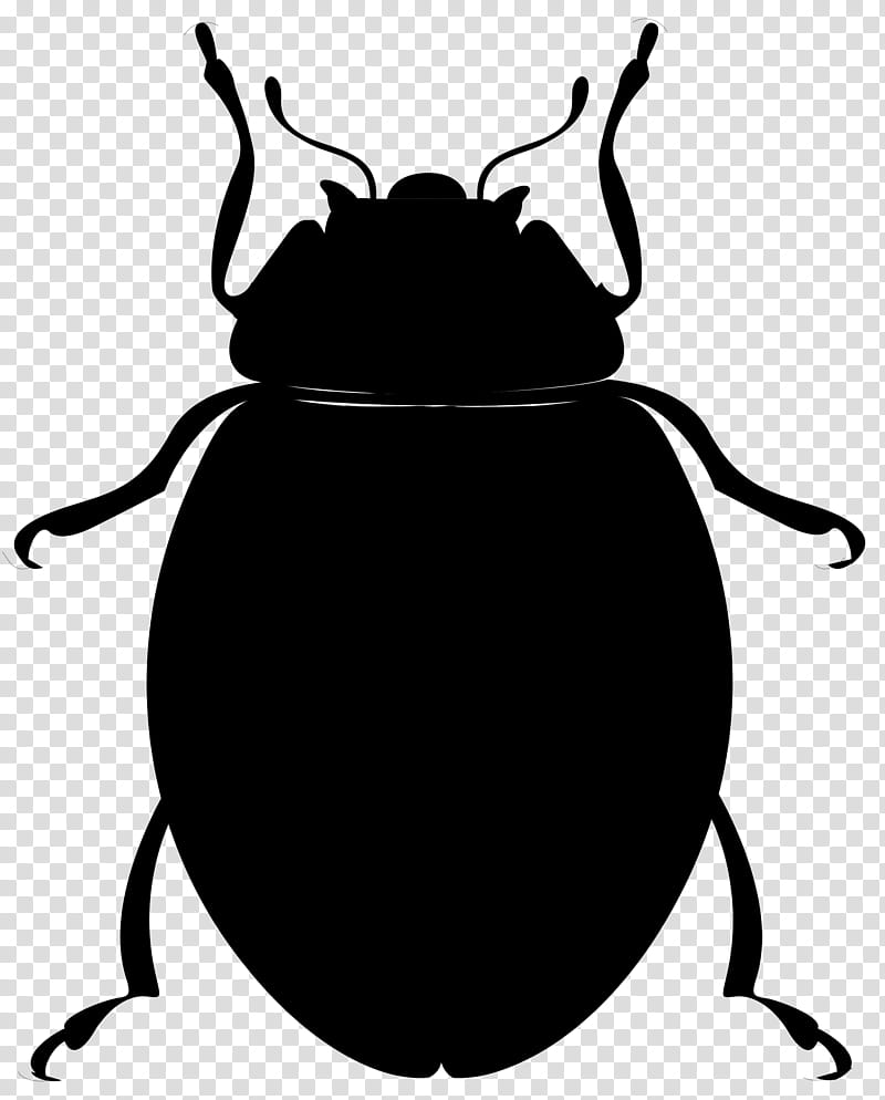 Ladybird, Beetle, Ladybird Beetle, Ladybird Ladybird, Insect, Ground Beetle, Stag Beetles, Pest transparent background PNG clipart